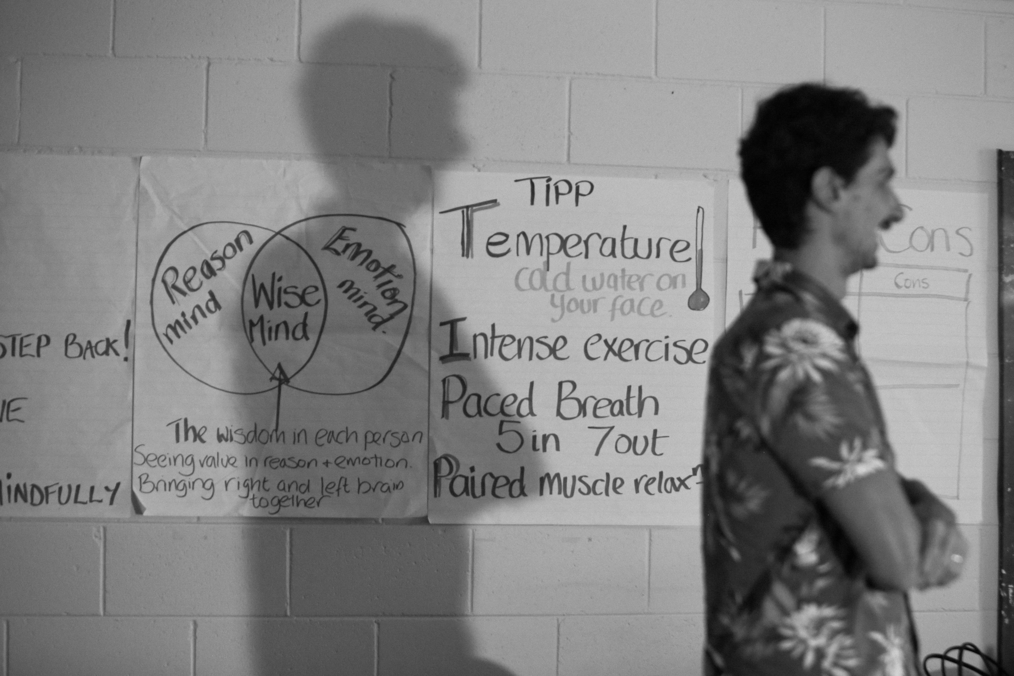 Wise Mind diagram on the wall of a Life Mental Health DBT group room